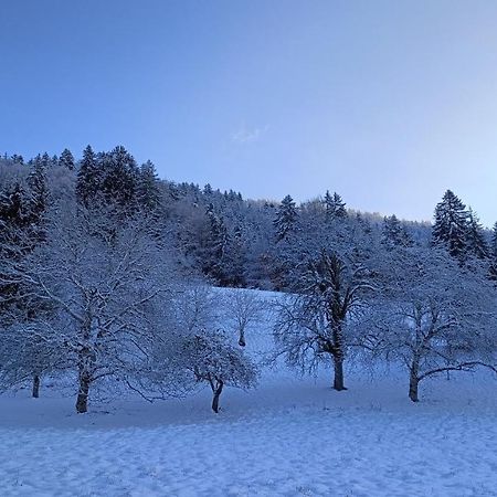 Gite Coeur De Haute-Savoie Viuz-en-Sallaz Esterno foto