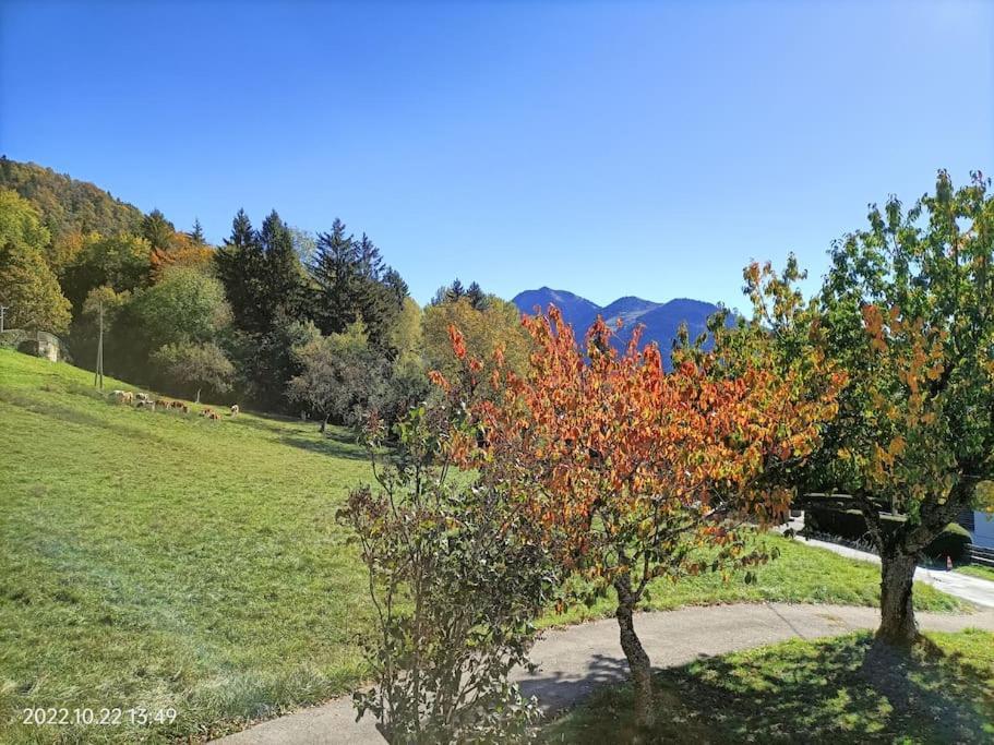 Gite Coeur De Haute-Savoie Viuz-en-Sallaz Esterno foto