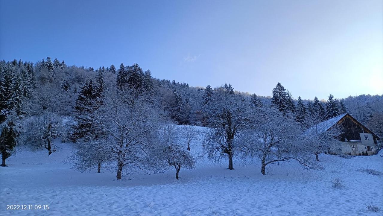 Gite Coeur De Haute-Savoie Viuz-en-Sallaz Esterno foto