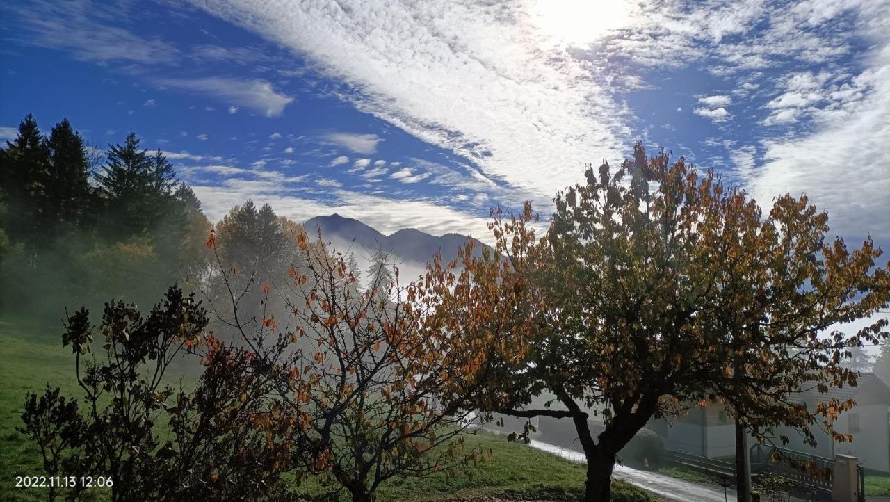 Gite Coeur De Haute-Savoie Viuz-en-Sallaz Esterno foto