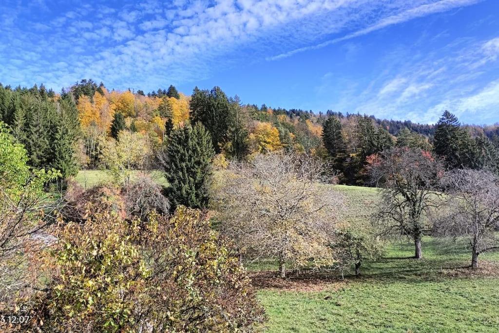 Gite Coeur De Haute-Savoie Viuz-en-Sallaz Esterno foto